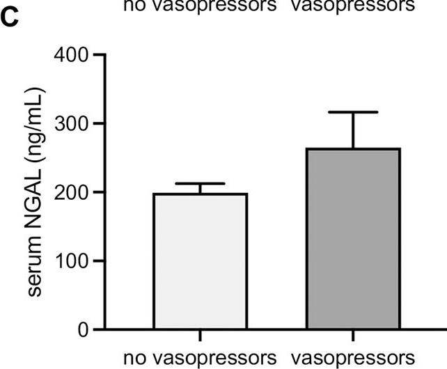 Fig.5.C showing Enzyme-linked immunosorbent assay from the publication: Serum Nostrin-A risk factor of death, kidney replacement therapy and acute kidney disease in acute kidney injury.