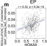 Fig.5.M showing Flow cytometry/Cell sorting in a Homo sapiens (Human) sample from the publication: Effects of HOX family regulator-mediated modification patterns and immunity characteristics on tumor-associated cell type in endometrial cancer.