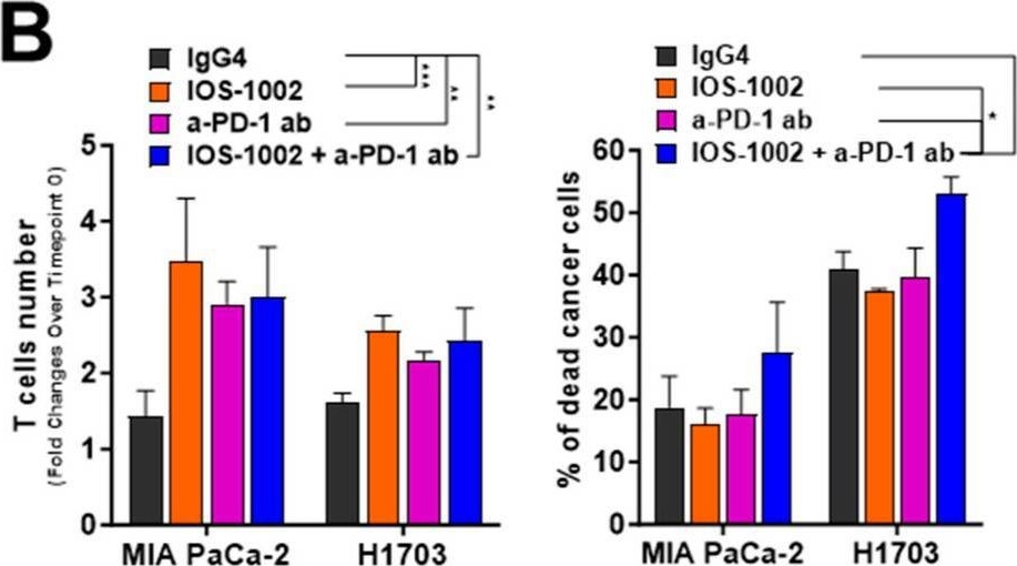 Fig.4.B from the publication: IOS-1002, a Stabilized HLA-B57 Open Format, Exerts Potent Anti-Tumor Activity.