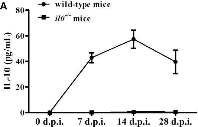 Fig.1.A showing Enzyme-linked immunosorbent assay from the publication: Interleukin-10 Promotes Porcine Circovirus Type 2 Persistent Infection in Mice and Aggravates the Tissue Lesions by Suppression of T Cell Infiltration.