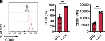 Fig.2.B showing Flow cytometry/Cell sorting from the publication: PD-L1 blockade restores CAR T cell activity through IFN-γ-regulation of CD163+ M2 macrophages.