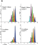 Fig.4.A showing Flow cytometry/Cell sorting from the publication: The type of responder T-cell has a significant impact in a human in vitro suppression assay.
