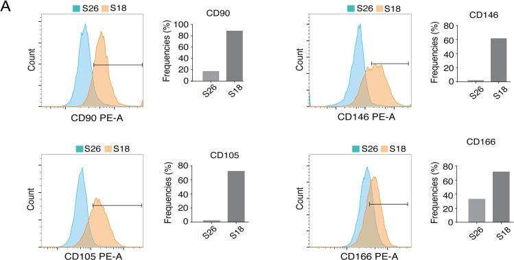 Fig.2.A showing Flow cytometry/Cell sorting in a Homo sapiens (Human) sample from the publication: EBV latent membrane proteins promote hybrid epithelial-mesenchymal and extreme mesenchymal states of nasopharyngeal carcinoma cells for tumorigenicity.