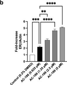 Fig.6.B from the publication: Inhibition of neuroinflammation and neuronal damage by the selective non-steroidal ERβ agonist AC-186.