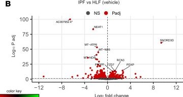 Fig.7.B from the publication: Identification of Ephrin type-B receptor 4 as a critical mediator of tissue fibrosis.