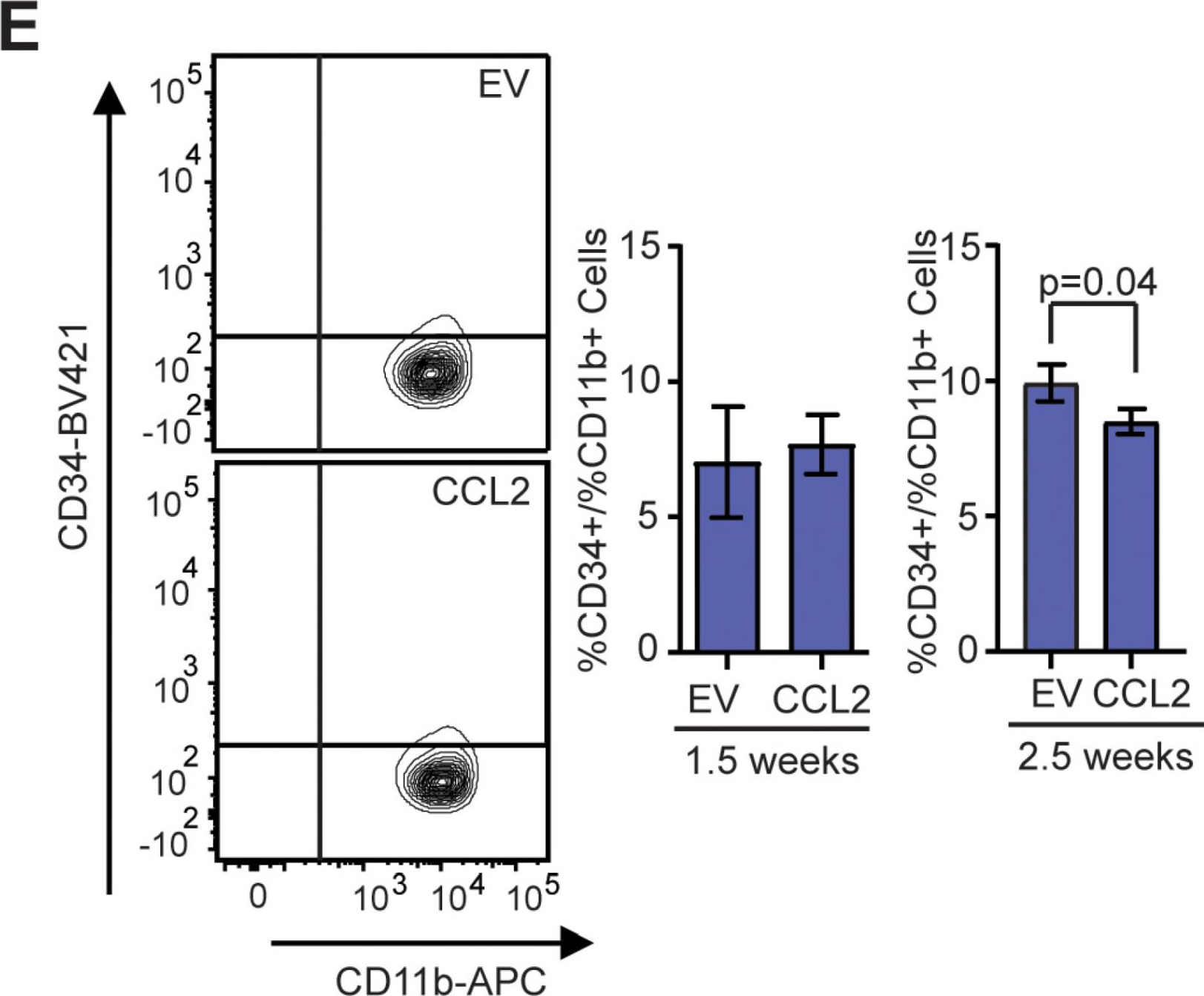 Fig.4.E showing Flow cytometry/Cell sorting in a Mus musculus (House mouse) sample from the publication: Stromal CCL2 Signaling Promotes Mammary Tumor Fibrosis through Recruitment of Myeloid-Lineage Cells.