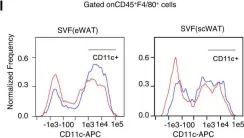 Fig.3.L showing Flow cytometry/Cell sorting in a Mus musculus (House mouse) sample from the publication: GPSM1 impairs metabolic homeostasis by controlling a pro-inflammatory pathway in macrophages.