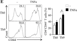 Fig.2.E showing Flow cytometry/Cell sorting from the publication: TNF-α enhances Th9 cell differentiation and antitumor immunity via TNFR2-dependent pathways.