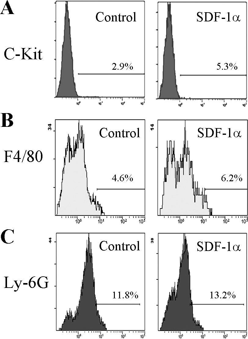 Fig.3.A showing Flow cytometry/Cell sorting from the publication: Critical role of SDF-1α-induced progenitor cell recruitment and macrophage VEGF production in the experimental corneal neovascularization.