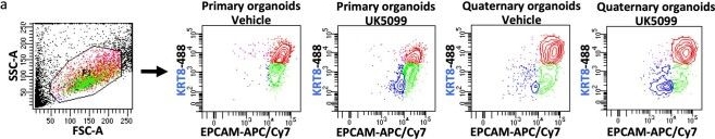 Fig.5.A showing Flow cytometry/Cell sorting from the publication: Prostate lineage-specific metabolism governs luminal differentiation and response to antiandrogen treatment.