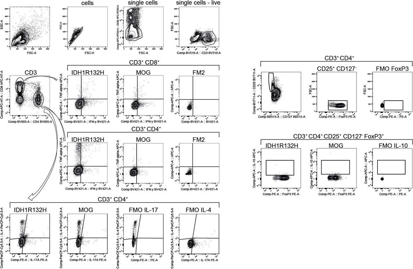 Fig.4.C showing Flow cytometry/Cell sorting in a Homo sapiens (Human) sample from the publication: A vaccine targeting mutant IDH1 in newly diagnosed glioma.