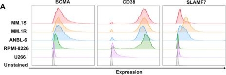 Fig.3.A showing Flow cytometry/Cell sorting from the publication: Self-Assembling Multi-Antigen T Cell Hybridizers for Precision Immunotherapy of Multiple Myeloma.