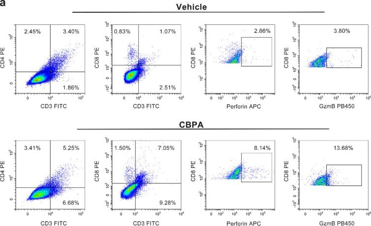 Fig.8.A showing Flow cytometry/Cell sorting in a Mus musculus (House mouse) sample from the publication: Identification of CBPA as a New Inhibitor of PD-1/PD-L1 Interaction.