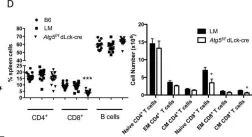 Fig.1.D showing Flow cytometry/Cell sorting in a Mus musculus (House mouse) sample from the publication: CD4 T cell autophagy is integral to memory maintenance.
