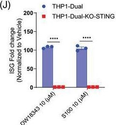 Fig.1.J from the publication: Discovery of a non-nucleotide stimulator of interferon genes (STING) agonist with systemic antitumor effect.