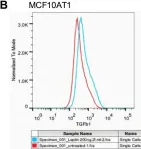 Fig.6.B showing Flow cytometry/Cell sorting from the publication: Leptin signals via TGFB1 to promote metastatic potential and stemness in breast cancer.