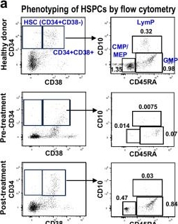 Fig.2.A showing Flow cytometry/Cell sorting in a Homo sapiens (Human) sample from the publication: Human autoimmunity at single cell resolution in aplastic anemia before and after effective immunotherapy.