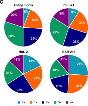 Fig.6.G from the publication: A Precision Engineered Interleukin-2 for Bolstering CD8+ T- and NK-cell Activity without Eosinophilia and Vascular Leak Syndrome in Nonhuman Primates.