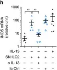 Fig.3.H showing Flow cytometry/Cell sorting from the publication: Tumour-derived PGD2 and NKp30-B7H6 engagement drives an immunosuppressive ILC2-MDSC axis.