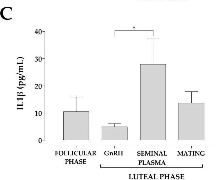 Fig.3.C showing Enzyme-linked immunosorbent assay from the publication: Ovulation Induced by Intrauterine Seminal Plasma Increases Total Protein, PGE2, IL-8, and IL-1β in Uterine Fluid of Llamas (Lama glama).