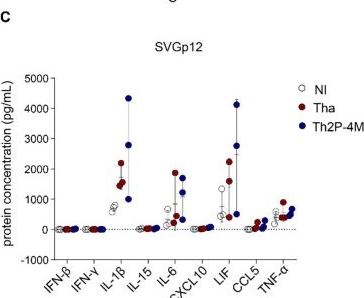 Fig.4.C from the publication: Susceptibilities of CNS Cells towards Rabies Virus Infection Is Linked to Cellular Innate Immune Responses.