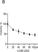 Fig.3.B from the publication: Mechanistic role of metal-responsive transcription factor-1 (MTF1) in cadmium-induced prostate carcinogenesis.