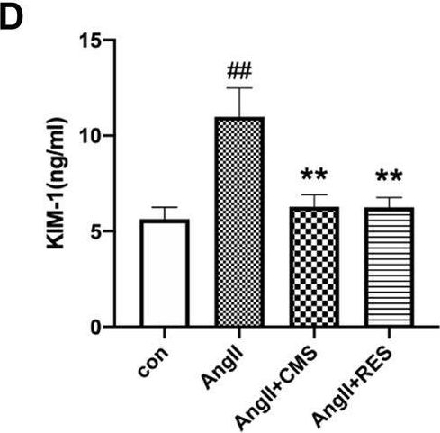 Fig.2.D showing Enzyme-linked immunosorbent assay from the publication: Cordyceps cicadae Ameliorates Renal Hypertensive Injury and Fibrosis Through the Regulation of SIRT1-Mediated Autophagy.