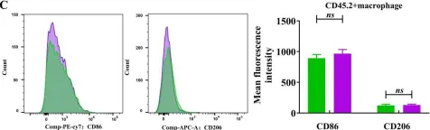 Fig.5.C showing Flow cytometry/Cell sorting from the publication: Clonorchis sinensis extracellular vesicles associated with Csi-let-7a-5p activate pro-inflammatory macrophages to induce biliary injury.