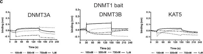 Fig.4.C from the publication: Targeted systematic evolution of an RNA platform neutralizing DNMT1 function and controlling DNA methylation.