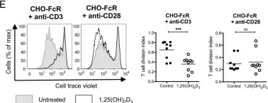 Fig.5.E showing Flow cytometry/Cell sorting from the publication: 1,25(OH)2D3 Promotes the Efficacy of CD28 Costimulation Blockade by Abatacept.