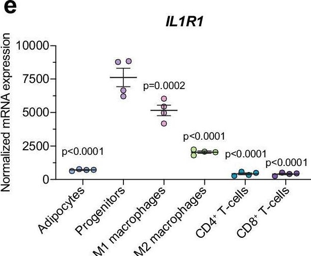 Fig.3.E from the publication: IL-1β promotes adipogenesis by directly targeting adipocyte precursors.