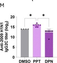 Fig.7.M from the publication: Estradiol enhances influenza vaccine responses through B cell metabolic reprogramming in female mice.