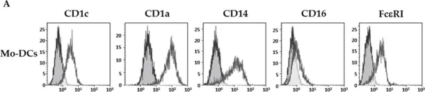 Fig.1.A showing Flow cytometry/Cell sorting from the publication: Extensive Phenotype of Human Inflammatory Monocyte-Derived Dendritic Cells.