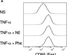 Fig.7.A showing Flow cytometry/Cell sorting in a Mus musculus (House mouse) sample from the publication: Targeting adrenergic receptors to mitigate invariant natural killer T cells-induced acute liver injury.