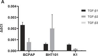 Fig.1.A from the publication: TGF-β1-based restoration of sodium iodide symporter expression in radioiodine-refractory differentiated thyroid cancer via engineered MSCs.