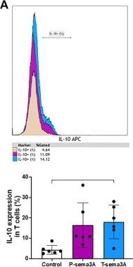 Fig.5.A showing Flow cytometry/Cell sorting from the publication: Truncated-semaphorin3A is a potential regulatory molecule to restore immune homeostasis in immune-mediated diseases.