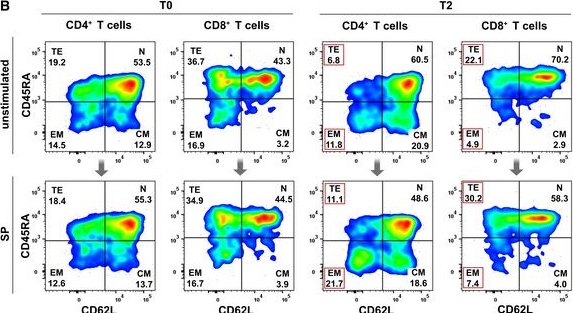 Fig.3.B showing Flow cytometry/Cell sorting from the publication: Spleen tyrosine kinase mediates innate and adaptive immune crosstalk in SARS-CoV-2 mRNA vaccination.