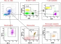 Fig.1.A showing Flow cytometry/Cell sorting in a Rattus norvegicus (Rat) sample from the publication: HIV-1 transgenic rats display alterations in immunophenotype and cellular responses associated with aging.