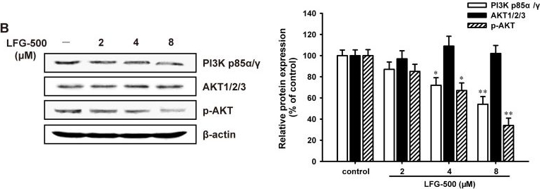 Fig.5.B showing Western Blotting in a Homo sapiens (Human) sample from the publication: LFG-500 inhibits the invasion of cancer cells via down-regulation of PI3K/AKT/NF-κB signaling pathway.