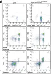 Fig.3.D showing Flow cytometry/Cell sorting in a Mus musculus (House mouse) sample from the publication: ARID1A loss in adult hepatocytes activates β-catenin-mediated erythropoietin transcription.