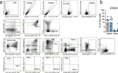 Fig.6.A showing Flow cytometry/Cell sorting in a Mus musculus (House mouse) sample from the publication: Gestational diabetes augments group B Streptococcus infection by disrupting maternal immunity and the vaginal microbiota.