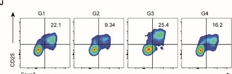 Fig.6.J showing Flow cytometry/Cell sorting in a Mus musculus (House mouse) sample from the publication: Targeting Splenic Myeloid Cells with Nanobiologics to Prevent Postablative Pancreatic Cancer Recurrence via Inducing Antitumor Peripheral Trained Immunity.