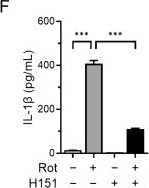 Fig.2.F showing Enzyme-linked immunosorbent assay from the publication: cGAS-STING-NF-κB Axis Mediates Rotenone-Induced NLRP3 Inflammasome Activation Through Mitochondrial DNA Release.