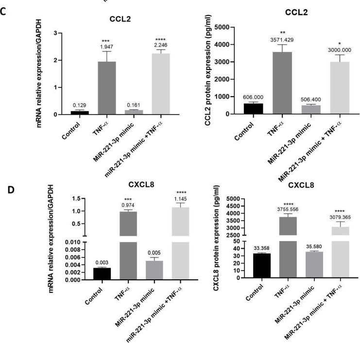 Fig.6.C showing Enzyme-linked immunosorbent assay from the publication: Overexpression of miR-146a-5p and miR-221-3p in Human Synovial MSC-like Cells Favoured the Expression of Pro-Inflammatory Mediators in an In Vitro Model of Rheumatoid Arthritis.