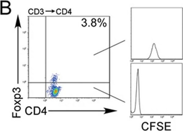 Fig.7.B showing Flow cytometry/Cell sorting in a Homo sapiens (Human) sample from the publication: Blocking the recruitment of naive CD4+ T cells reverses immunosuppression in breast cancer.