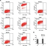 Fig.3.A showing Flow cytometry/Cell sorting in a Homo sapiens (Human) sample from the publication: Urine-derived podocytes from steroid resistant nephrotic syndrome patients as a model for renal-progenitor derived extracellular vesicles effect and drug screening.
