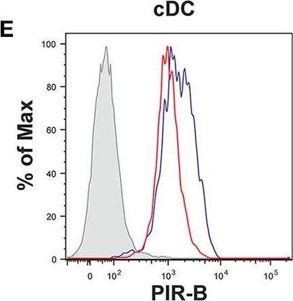 Fig.9.E showing Flow cytometry/Cell sorting in a Mus musculus (House mouse) sample from the publication: Bendamustine Conditioning Skews Murine Host DCs Toward Pre-cDC1s and Reduces GvHD Independently of Batf3.