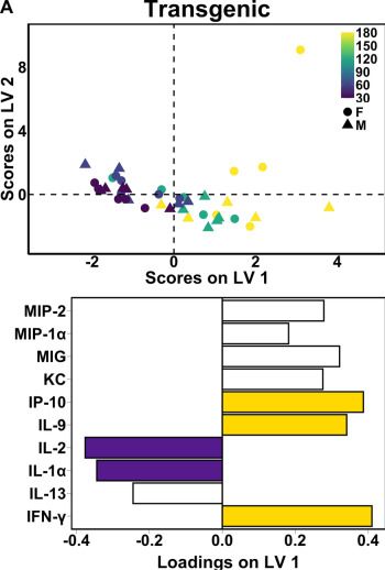 Fig.1.A from the publication: Amyloid-β Pathology-Specific Cytokine Secretion Suppresses Neuronal Mitochondrial Metabolism.