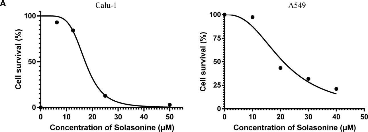 Fig.1.A from the publication: Solasonine Causes Redox Imbalance and Mitochondrial Oxidative Stress of Ferroptosis in Lung Adenocarcinoma.