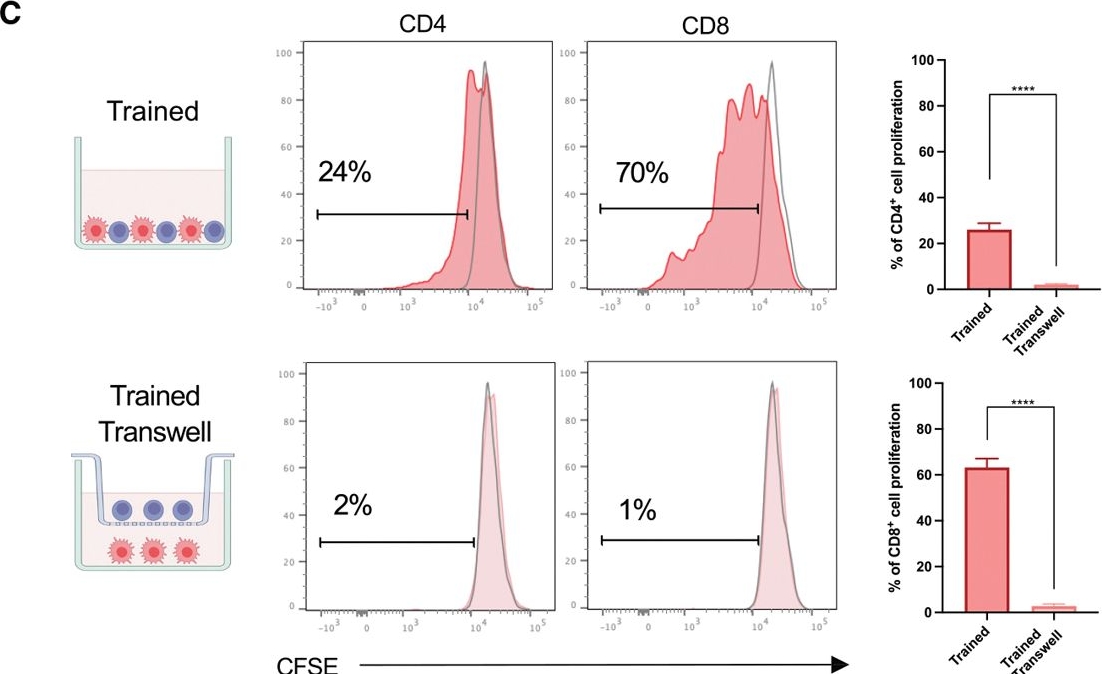 Fig.4.C showing Flow cytometry/Cell sorting in a Mus musculus (House mouse) sample from the publication: In vitro protocol demonstrating five functional steps of trained immunity in mice: Implications on biomarker discovery and translational research.